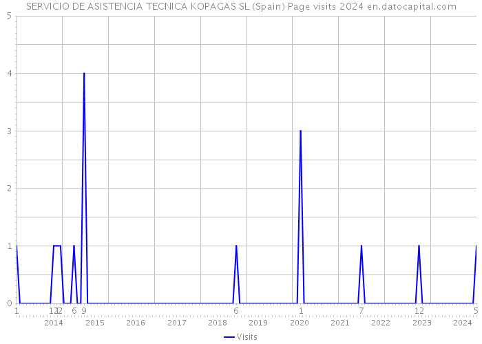 SERVICIO DE ASISTENCIA TECNICA KOPAGAS SL (Spain) Page visits 2024 