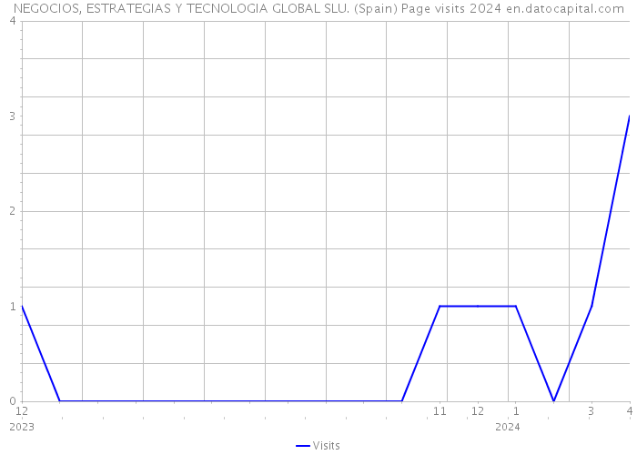 NEGOCIOS, ESTRATEGIAS Y TECNOLOGIA GLOBAL SLU. (Spain) Page visits 2024 
