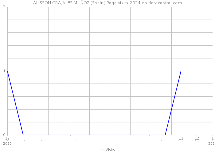 ALISSON GRAJALES MUÑOZ (Spain) Page visits 2024 