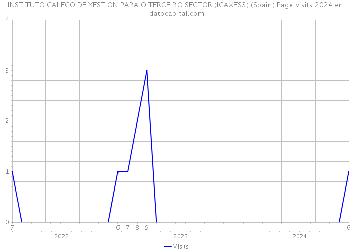 INSTITUTO GALEGO DE XESTION PARA O TERCEIRO SECTOR (IGAXES3) (Spain) Page visits 2024 