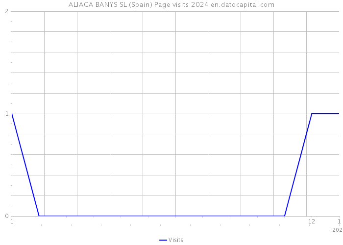 ALIAGA BANYS SL (Spain) Page visits 2024 