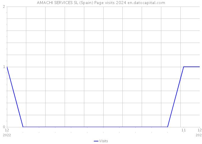 AMACHI SERVICES SL (Spain) Page visits 2024 