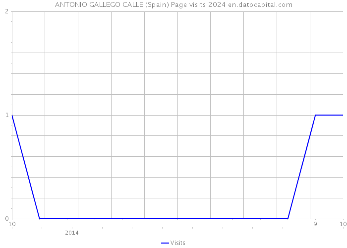 ANTONIO GALLEGO CALLE (Spain) Page visits 2024 