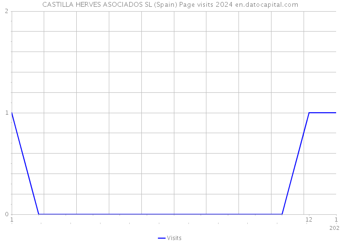 CASTILLA HERVES ASOCIADOS SL (Spain) Page visits 2024 