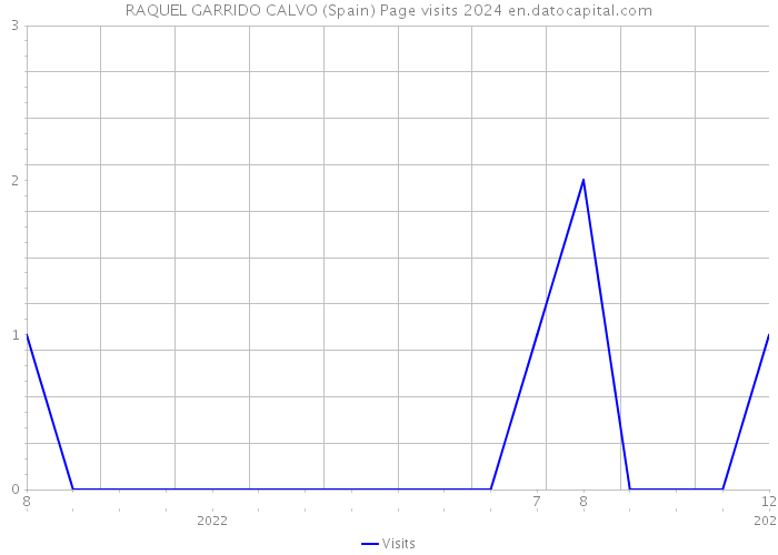 RAQUEL GARRIDO CALVO (Spain) Page visits 2024 