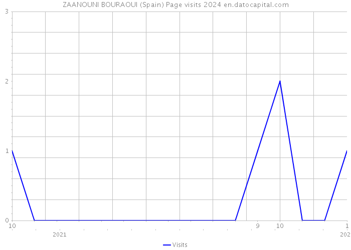 ZAANOUNI BOURAOUI (Spain) Page visits 2024 