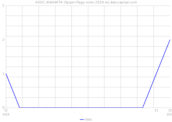 ASOC ANAHATA (Spain) Page visits 2024 