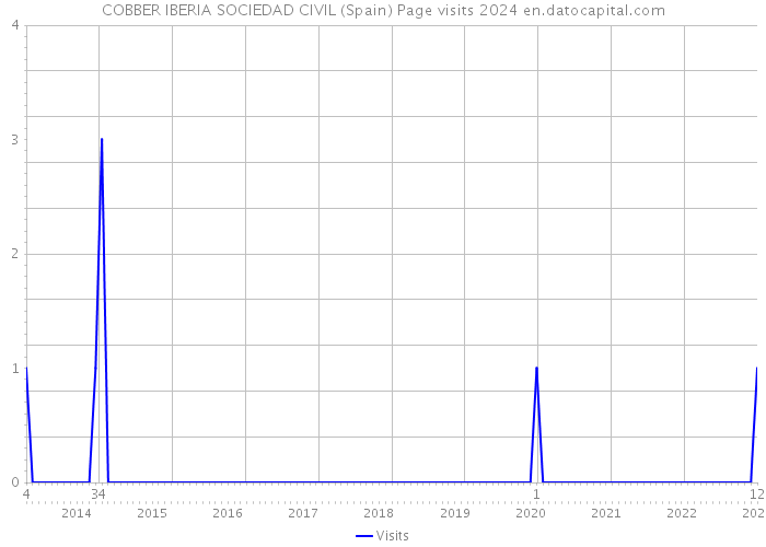 COBBER IBERIA SOCIEDAD CIVIL (Spain) Page visits 2024 