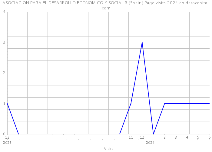 ASOCIACION PARA EL DESARROLLO ECONOMICO Y SOCIAL R (Spain) Page visits 2024 