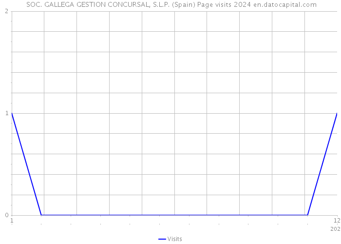 SOC. GALLEGA GESTION CONCURSAL, S.L.P. (Spain) Page visits 2024 