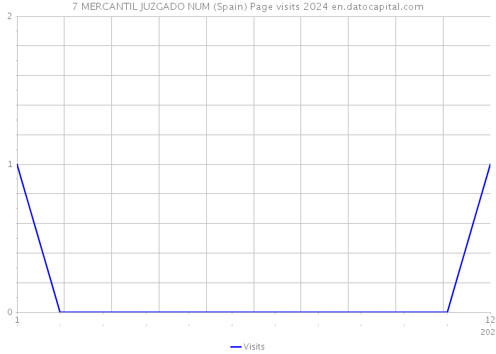 7 MERCANTIL JUZGADO NUM (Spain) Page visits 2024 