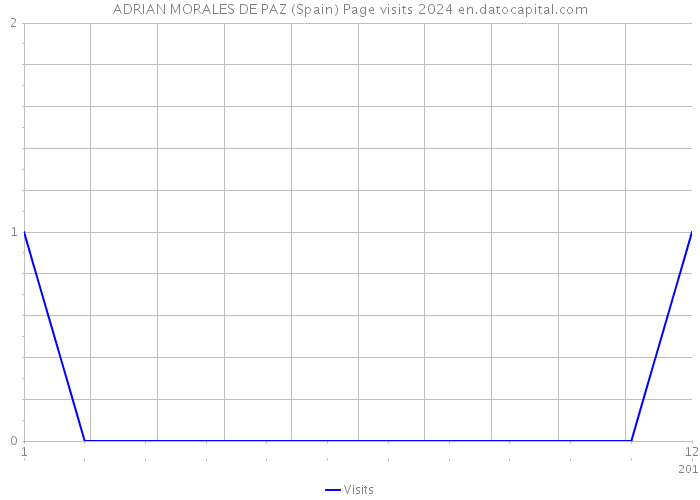 ADRIAN MORALES DE PAZ (Spain) Page visits 2024 