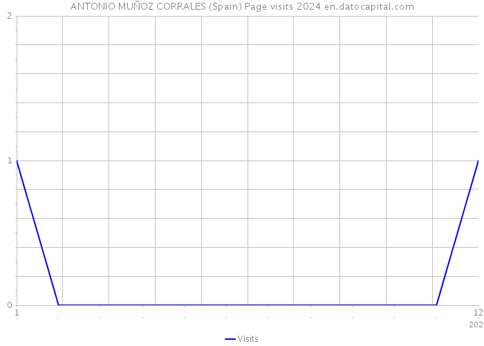 ANTONIO MUÑOZ CORRALES (Spain) Page visits 2024 