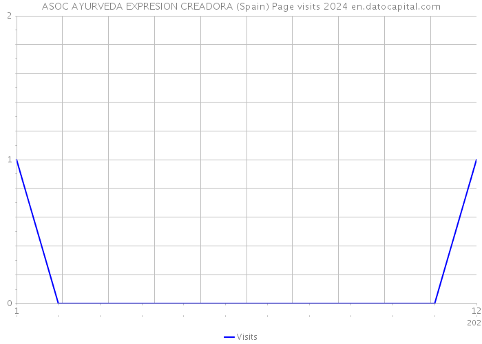 ASOC AYURVEDA EXPRESION CREADORA (Spain) Page visits 2024 