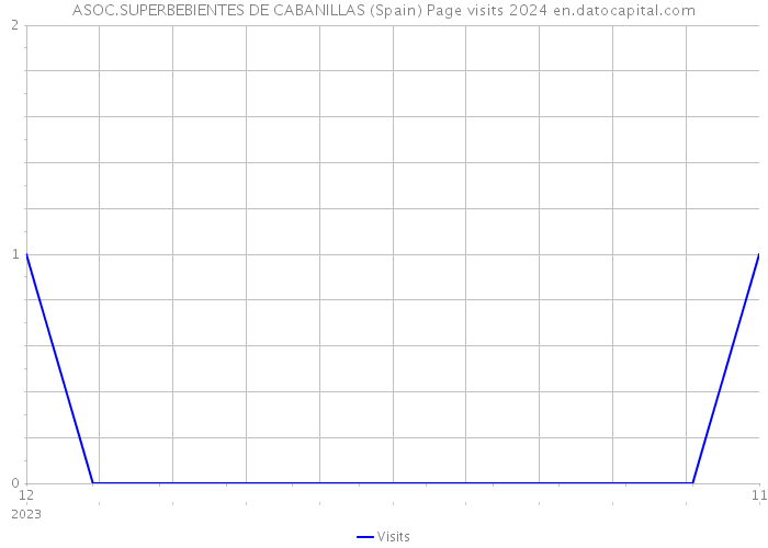 ASOC.SUPERBEBIENTES DE CABANILLAS (Spain) Page visits 2024 