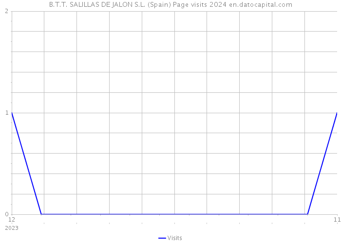 B.T.T. SALILLAS DE JALON S.L. (Spain) Page visits 2024 