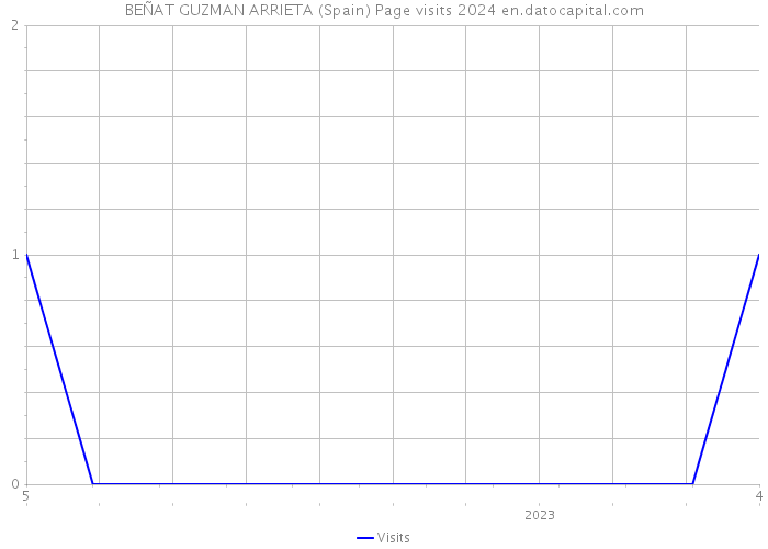 BEÑAT GUZMAN ARRIETA (Spain) Page visits 2024 