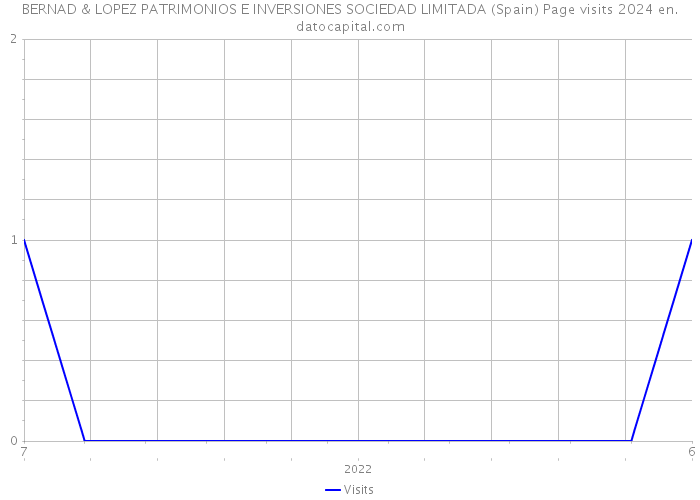 BERNAD & LOPEZ PATRIMONIOS E INVERSIONES SOCIEDAD LIMITADA (Spain) Page visits 2024 