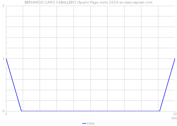 BERNARDO CARO CABALLERO (Spain) Page visits 2024 