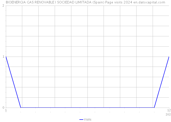 BIOENERGIA GAS RENOVABLE I SOCIEDAD LIMITADA (Spain) Page visits 2024 