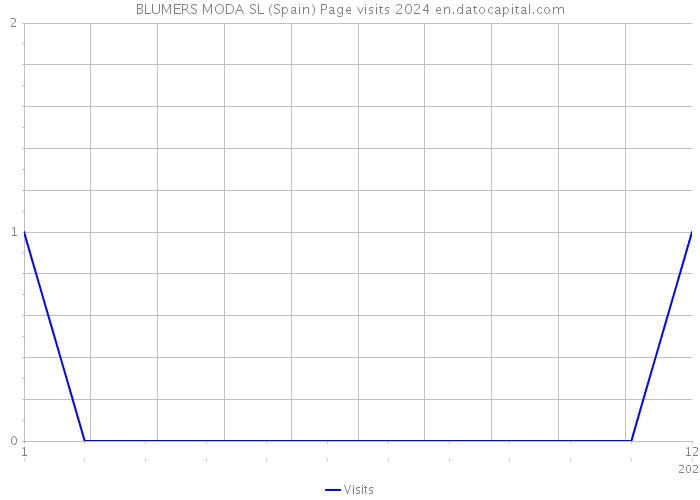 BLUMERS MODA SL (Spain) Page visits 2024 