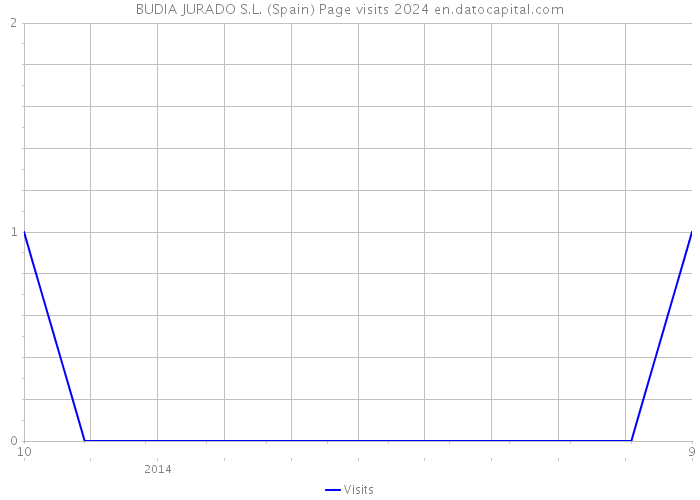 BUDIA JURADO S.L. (Spain) Page visits 2024 