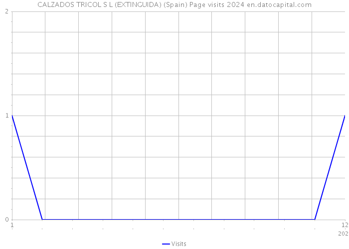 CALZADOS TRICOL S L (EXTINGUIDA) (Spain) Page visits 2024 