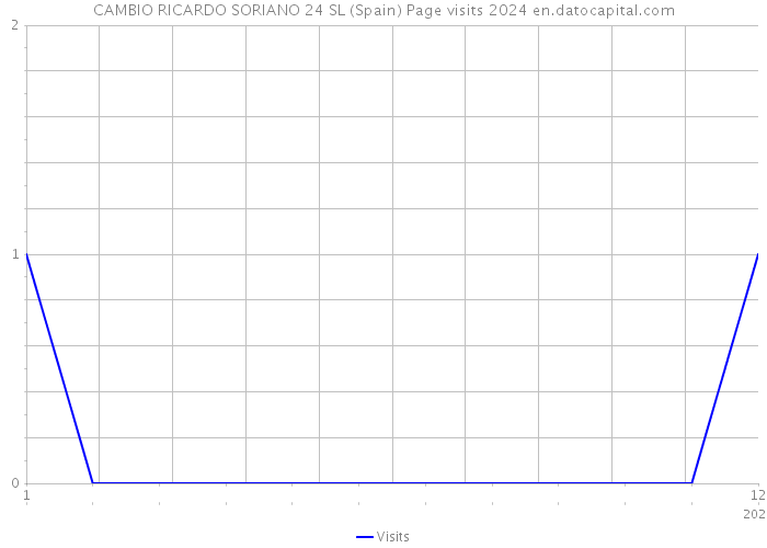 CAMBIO RICARDO SORIANO 24 SL (Spain) Page visits 2024 