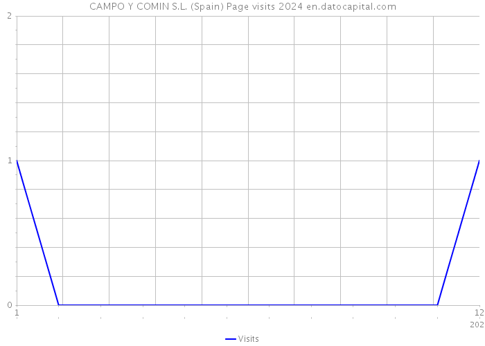 CAMPO Y COMIN S.L. (Spain) Page visits 2024 