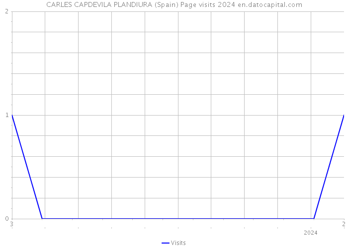 CARLES CAPDEVILA PLANDIURA (Spain) Page visits 2024 