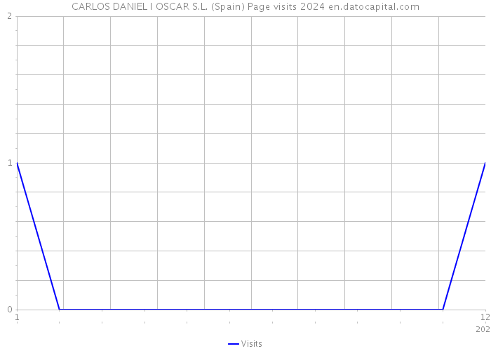 CARLOS DANIEL I OSCAR S.L. (Spain) Page visits 2024 