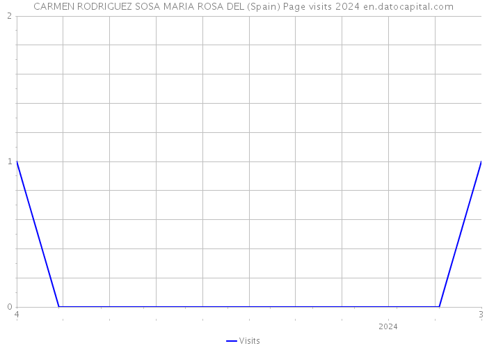 CARMEN RODRIGUEZ SOSA MARIA ROSA DEL (Spain) Page visits 2024 