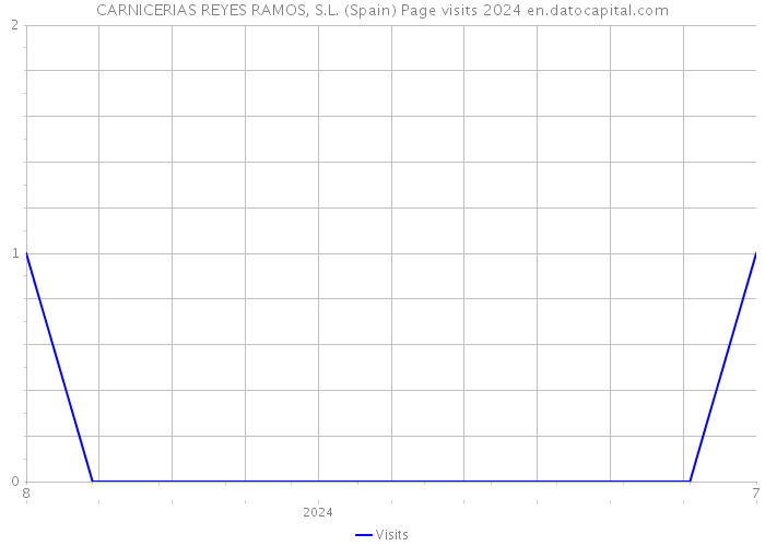 CARNICERIAS REYES RAMOS, S.L. (Spain) Page visits 2024 