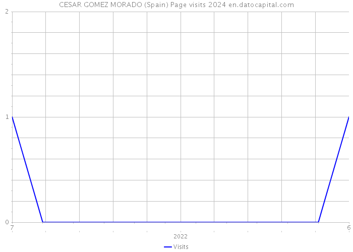 CESAR GOMEZ MORADO (Spain) Page visits 2024 