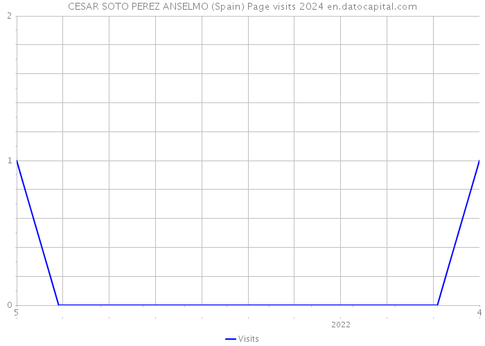 CESAR SOTO PEREZ ANSELMO (Spain) Page visits 2024 
