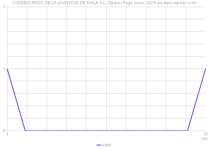 CONSEJO PROV. DE LA JUVENTUD DE AVILA S.L. (Spain) Page visits 2024 