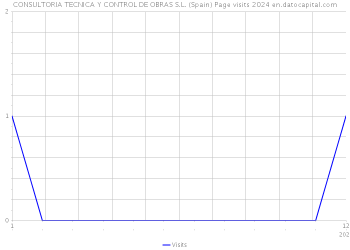 CONSULTORIA TECNICA Y CONTROL DE OBRAS S.L. (Spain) Page visits 2024 
