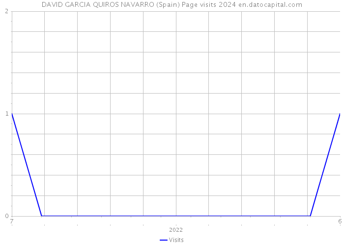 DAVID GARCIA QUIROS NAVARRO (Spain) Page visits 2024 