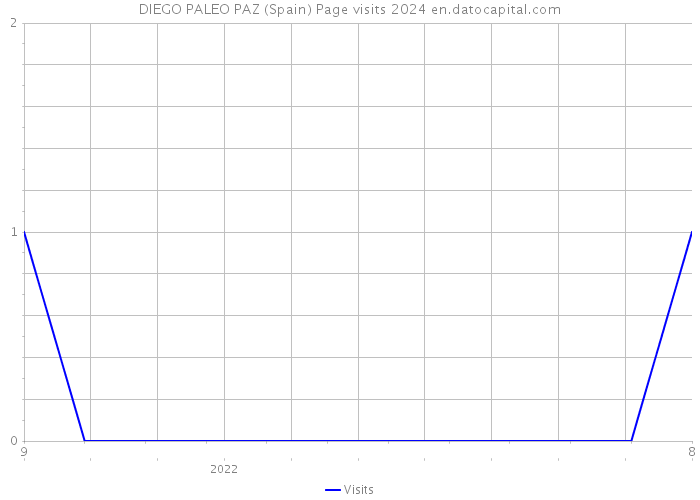 DIEGO PALEO PAZ (Spain) Page visits 2024 