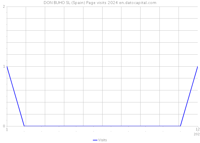 DON BUHO SL (Spain) Page visits 2024 