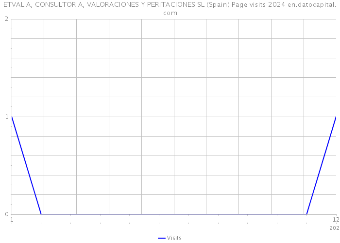 ETVALIA, CONSULTORIA, VALORACIONES Y PERITACIONES SL (Spain) Page visits 2024 