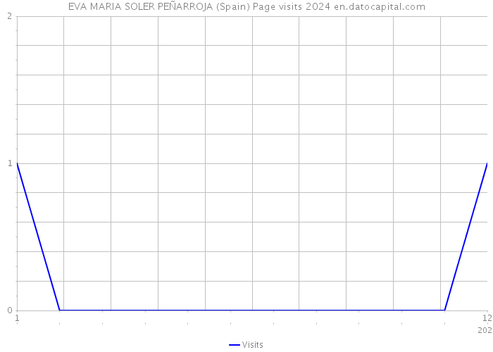 EVA MARIA SOLER PEÑARROJA (Spain) Page visits 2024 