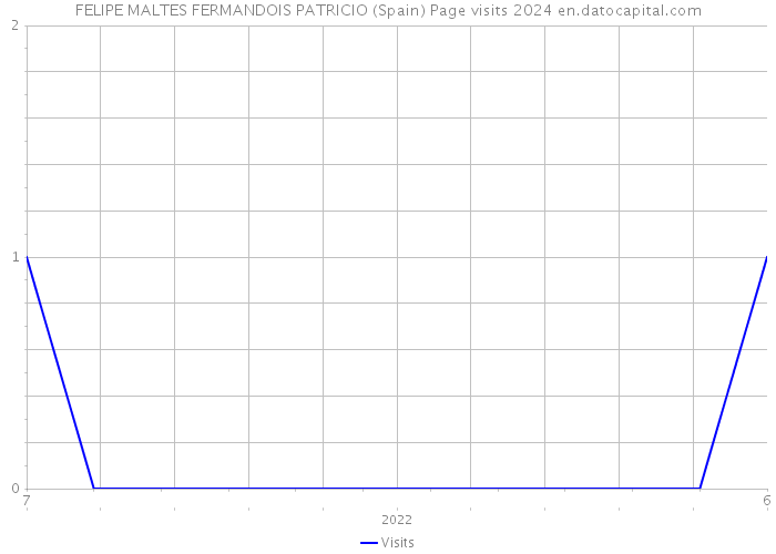 FELIPE MALTES FERMANDOIS PATRICIO (Spain) Page visits 2024 