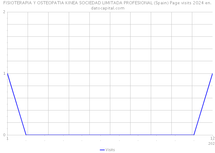 FISIOTERAPIA Y OSTEOPATIA KINEA SOCIEDAD LIMITADA PROFESIONAL (Spain) Page visits 2024 