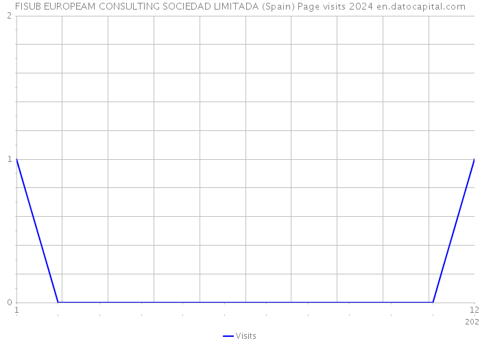 FISUB EUROPEAM CONSULTING SOCIEDAD LIMITADA (Spain) Page visits 2024 