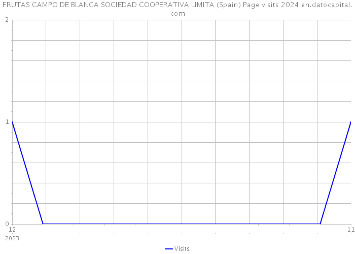 FRUTAS CAMPO DE BLANCA SOCIEDAD COOPERATIVA LIMITA (Spain) Page visits 2024 