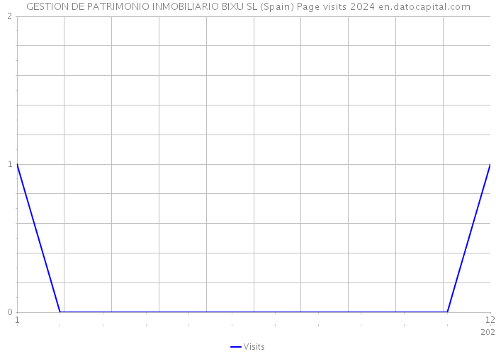 GESTION DE PATRIMONIO INMOBILIARIO BIXU SL (Spain) Page visits 2024 