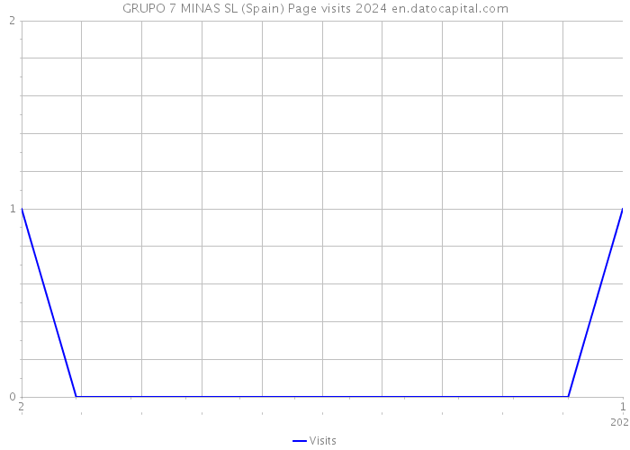 GRUPO 7 MINAS SL (Spain) Page visits 2024 