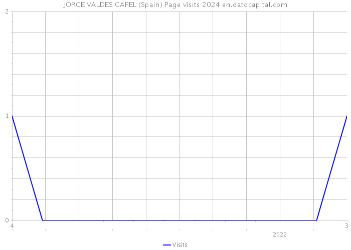 JORGE VALDES CAPEL (Spain) Page visits 2024 