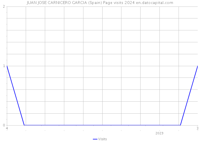 JUAN JOSE CARNICERO GARCIA (Spain) Page visits 2024 